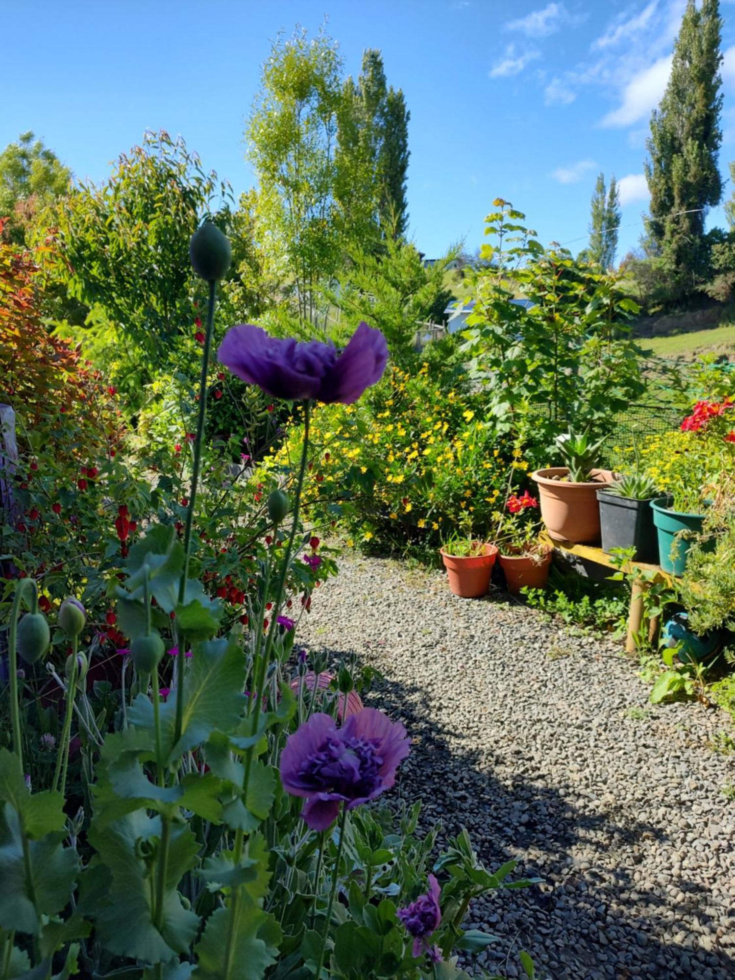 Apartamento Departamento En Castro Chiloe Tentén